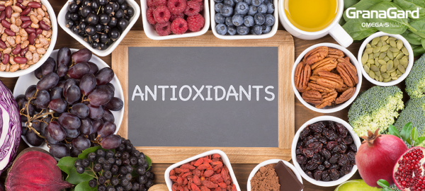 ¿qué Es Un Antioxidante Y Para Qué Sirve Granagardemk 7962